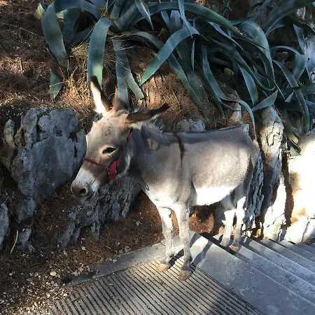 Appartement Sanny Split